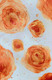 Saffron Roses (ART_8521_72463) - Handpainted Art Painting - 18in X 12in