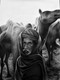 The Camel Man.  (ART_8925_72559) - Handpainted Art Painting - 22in X 30in