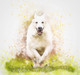 Dog Retriever  (PRT_7809_72994) - Canvas Art Print - 26in X 17in