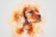 Dog Portrait Cute  (PRT_7809_72989) - Canvas Art Print - 26in X 17in