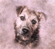 Dog Pet Terrier  (PRT_7809_72981) - Canvas Art Print - 24in X 21in