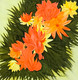 Utsav 4 (ART_8937_72950) - Handpainted Art Painting - 12in X 12in