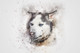 Dog 31  (PRT_7809_73177) - Canvas Art Print - 26in X 17in