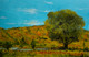 A pleasant day at mountains (ART_8331_73260) - Handpainted Art Painting - 11in X 7in