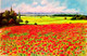 Young poppy fields (ART_5868_73543) - Handpainted Art Painting - 35in X 23in