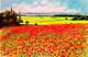 Young Poppy Fields (ART_5868_73543) - Handpainted Art Painting - 35in X 23in