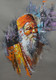 Sadhu (ART_1038_73877) - Handpainted Art Painting - 15in X 20in