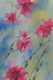 Hibiscus near Home (PRT_8991_74021) - Canvas Art Print - 11in X 16in
