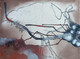 Ero 1 (ART_8998_74204) - Handpainted Art Painting - 16in X 11in
