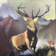 Mountain stag  (ART_9008_74531) - Handpainted Art Painting - 24in X 24in