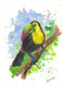 Toucan -The Vibrant one (PRT_7989_74631) - Canvas Art Print - 8in X 11in