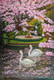 Landscape,Nature,Tree,Swan,Swan Couple,Pink Blossom