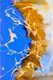 shape, form, color,Abstract art, nonfigurative art, nonobjective art, nonrepresentational art ,Strokes