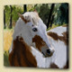abstract horse, horse, horse in farm