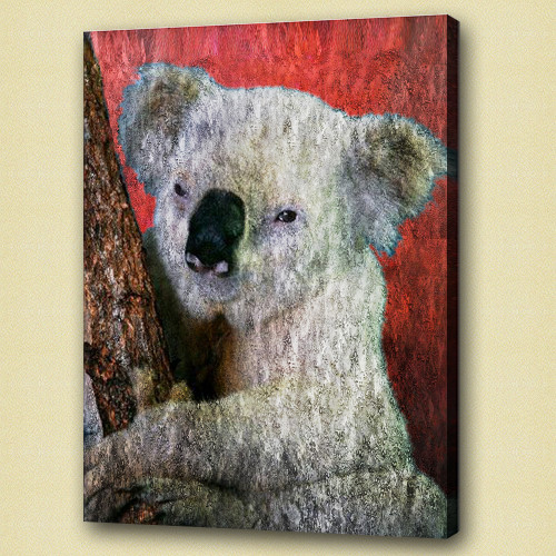 Koala Bear, Art Print of Acrylic Painting