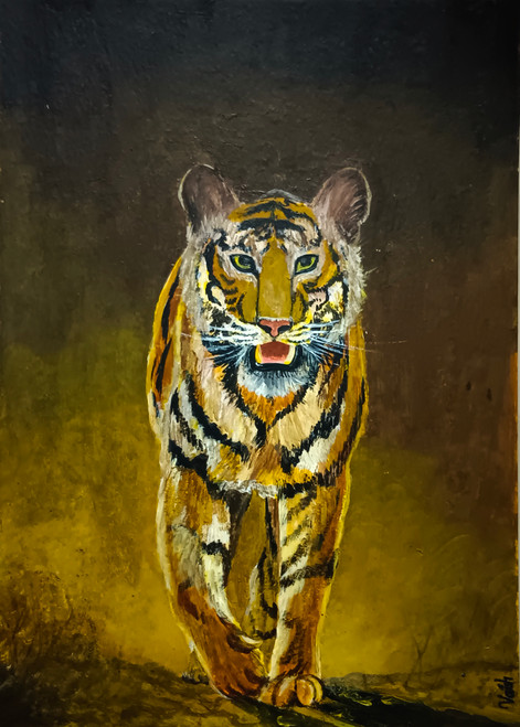 Tiger (PRT_7602_75312) - Canvas Art Print - 8in X 11in