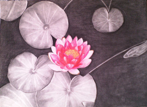 how to draw a lotus flowers very esy step with pencil for beginners,pencil  sketch scenery drawing, - YouTube