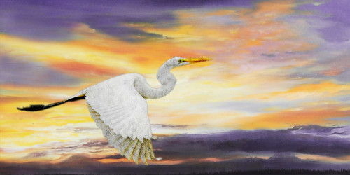 41Egret08__55456.1506574122.
