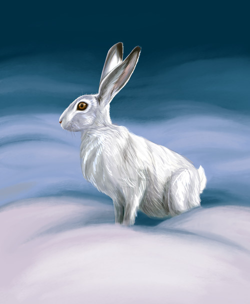 Buy A New Year's rabbit. Handmade Painting by JOSEPHINE POPOVA. Code ...