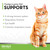 What Tomlyn L-Lysine Immune Support Maple-Flavored Gel for Cats Supports