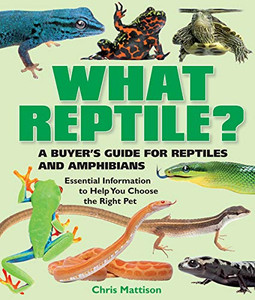 WHAT REPTILE? WHAT REPTILE?