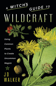A Witch's Guide to Wildcraft A Witch's Guide to Wildcraft