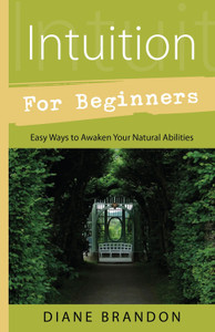 Intuition for Beginners Intuition for Beginners