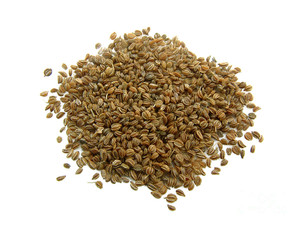 Celery Seed (Whole) 1oz Celery Seed (Whole) 1oz