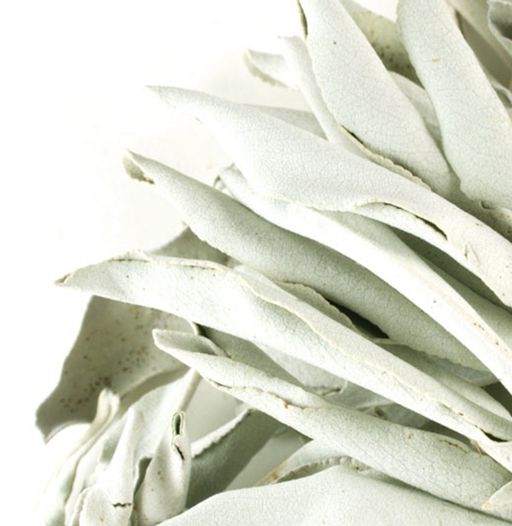 White Sage (Whole) 1 oz