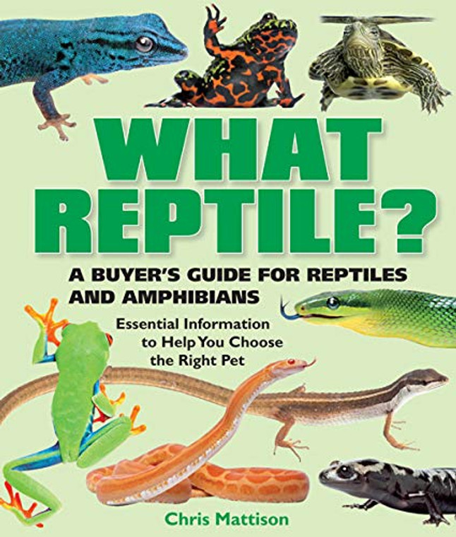 WHAT REPTILE?