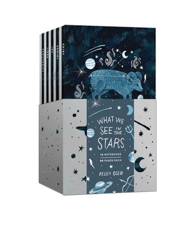 What We See in the Stars Notebook Set
