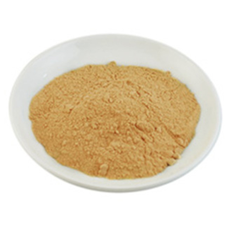 Papaya Extract Powder 3.3oz