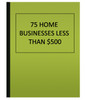 75 HOME BUSINESSES LESS THAN $500 (eBook)