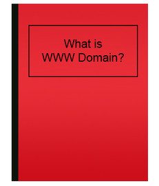 What is WWW Domain?