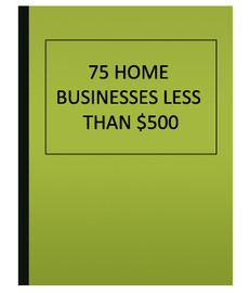 75 HOME BUSINESSES LESS THAN $500 (eBook)