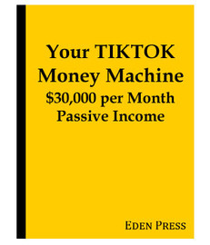 Your TIKTOK Money Machine (eBook)
