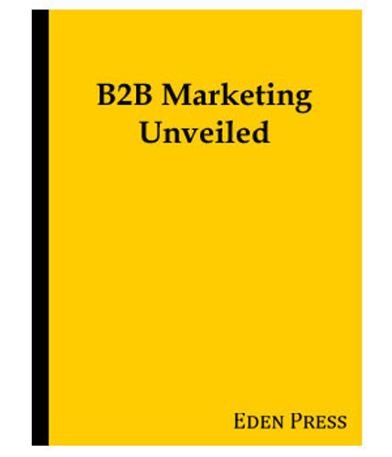 B2B Marketing Unveiled