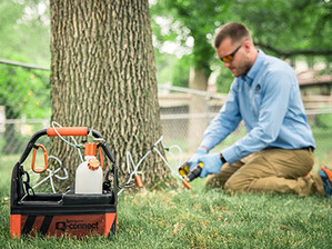 Download the Tree Injection E-Book Download the Tree Injection E-Book