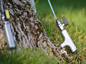 Is Your Tree Injection Program Operating at the Highest Level?