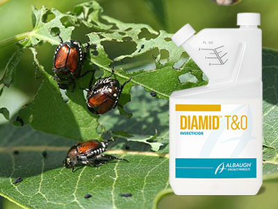 Diamid™ T&O: A Bee Friendly Solution for Chewing Insects Now Available ...