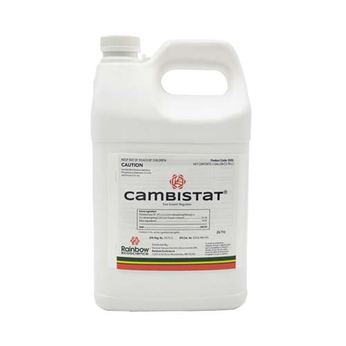 Cambistat