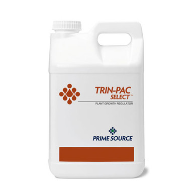 herbicide for sweet corn Quick Trip Attribute II Sweet Corn (Roundup Ready)