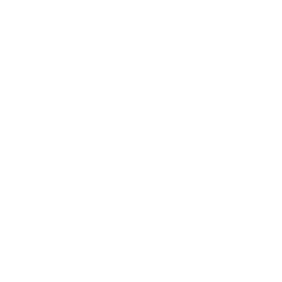caliber