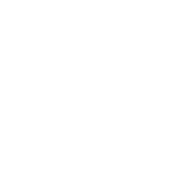 caliber