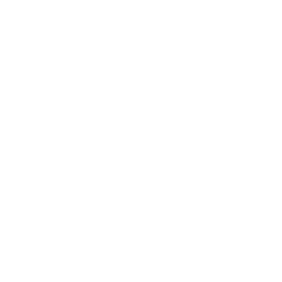 caliber