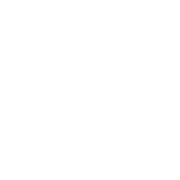 caliber
