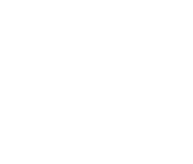 caliber