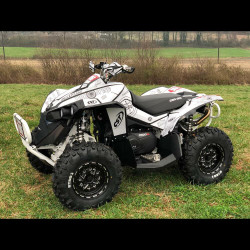2017 Can-Am Renegade, Storm Trooper / Dwight Pollard