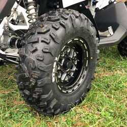 2017 Can-Am Renegade, Storm Trooper / Dwight Pollard