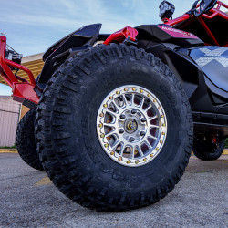 2025 Can-Am Maverick R, Blue / Red